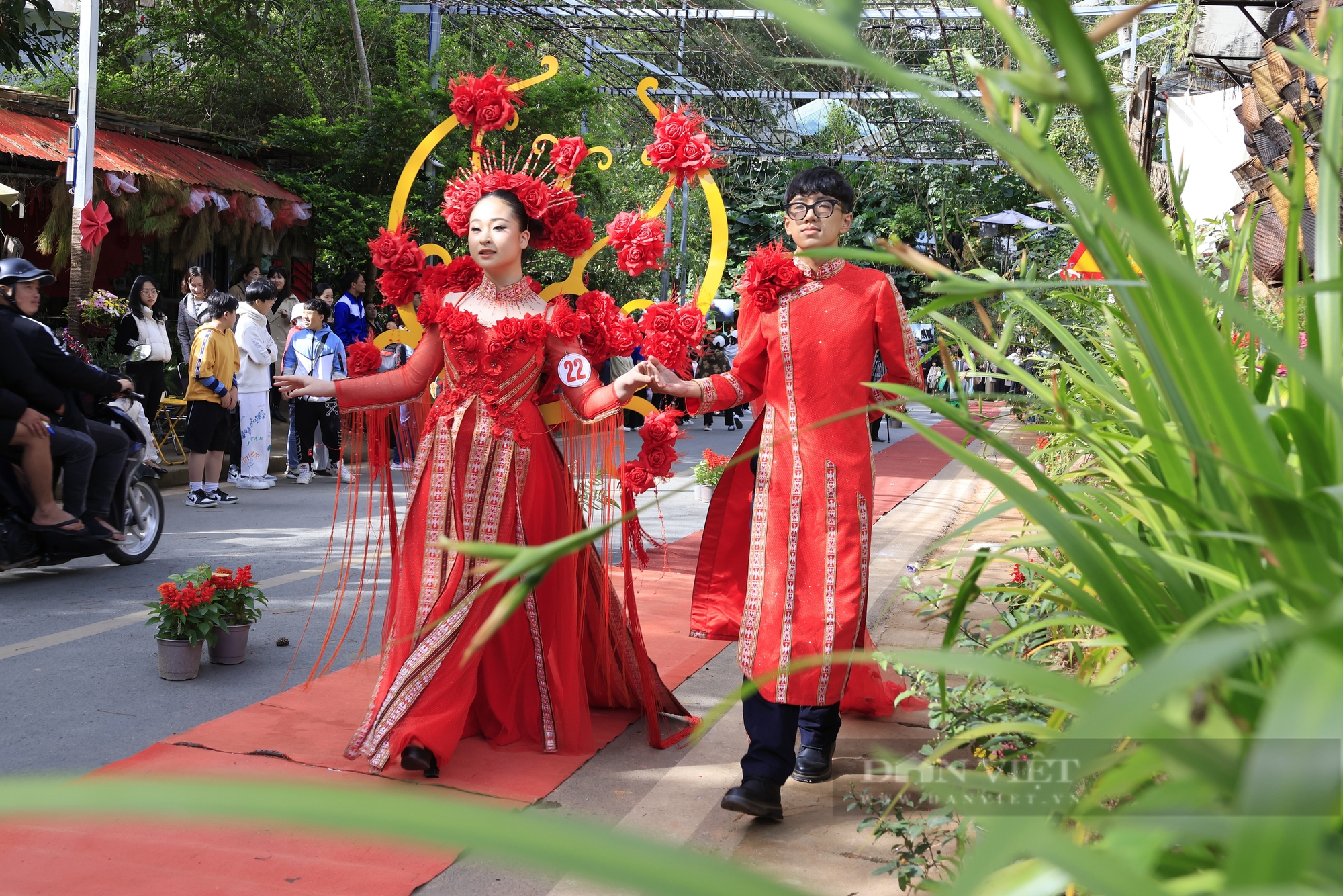 Hàng trăm người dân tại TP. Đà Lạt thích thú ngắm 