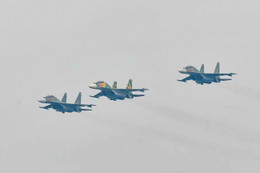 su30_ (3).jpg