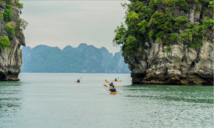 Du khách trải nghiệm chèo thuyền kayak trên Vịnh Hạ Long.