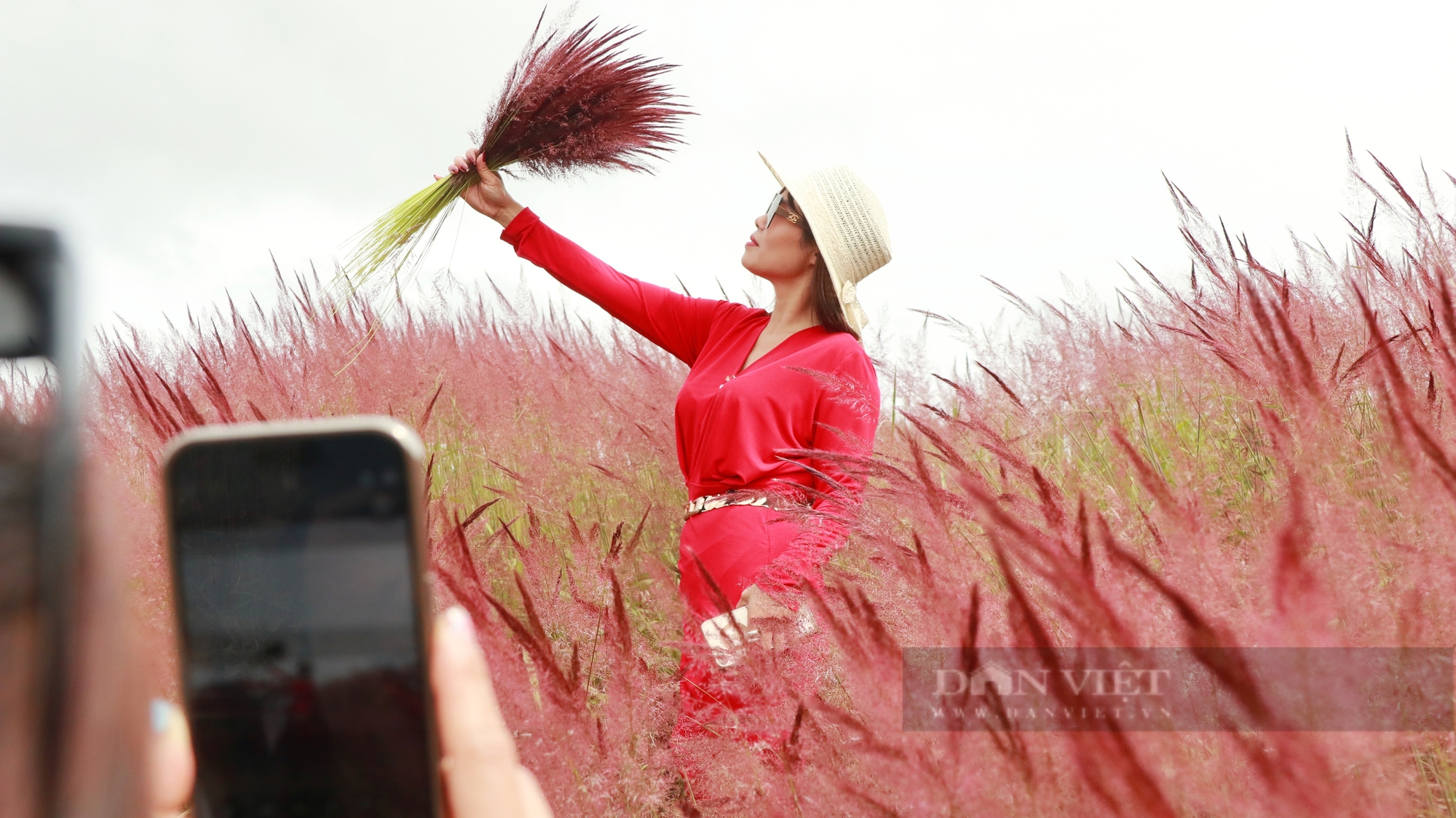 Đồi hoa cỏ lau hồng đẹp nao lòng ở Đà Lạt, du khách kéo đến vui chơi, chụp ảnh ầm ầm- Ảnh 6.