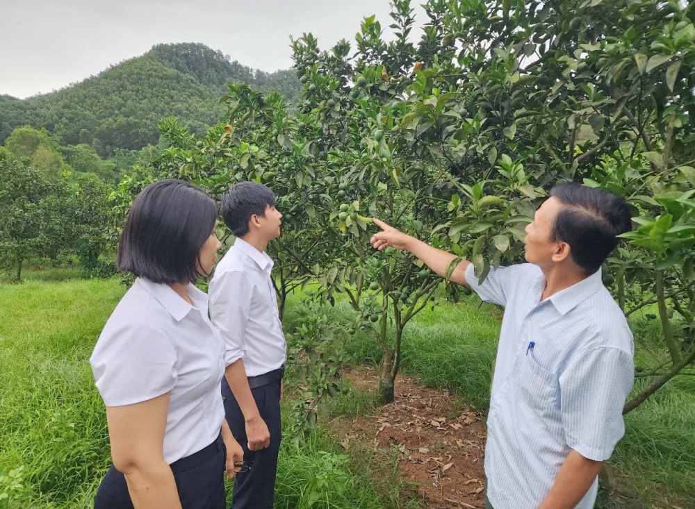 các địa phương cần xây dựng chính sách hỗ trợ thu hút nhân lực trẻ, có trình độ cao về làm việc tại nông thôn.