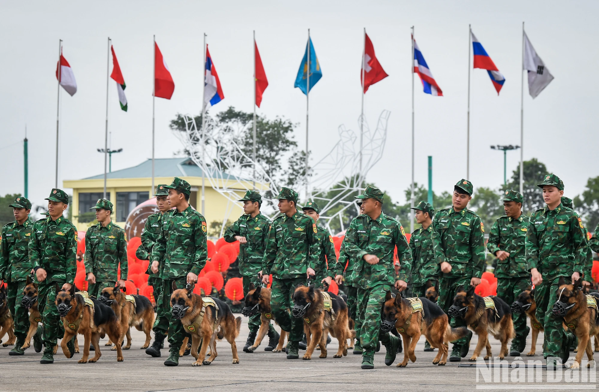 [Ảnh] Đặc công, máy bay, quân khuyển luyện tập cho sự kiện Triển lãm Quốc phòng quốc tế 2024 ảnh 12