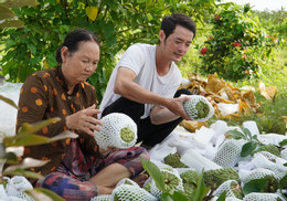 Muhallebi elması yetiştirme 4.jpg