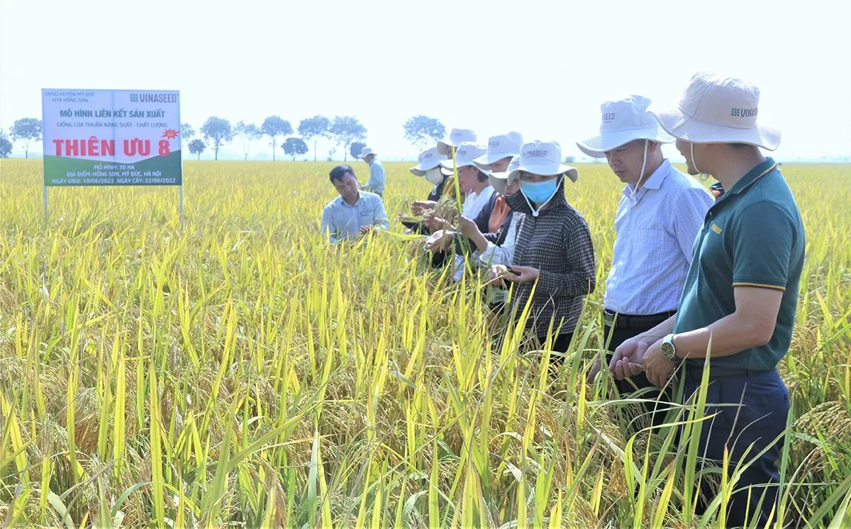 Thuế VAT với mặt hàng phân bón: Bài 3 – Câu chuyện hài hòa lợi ích