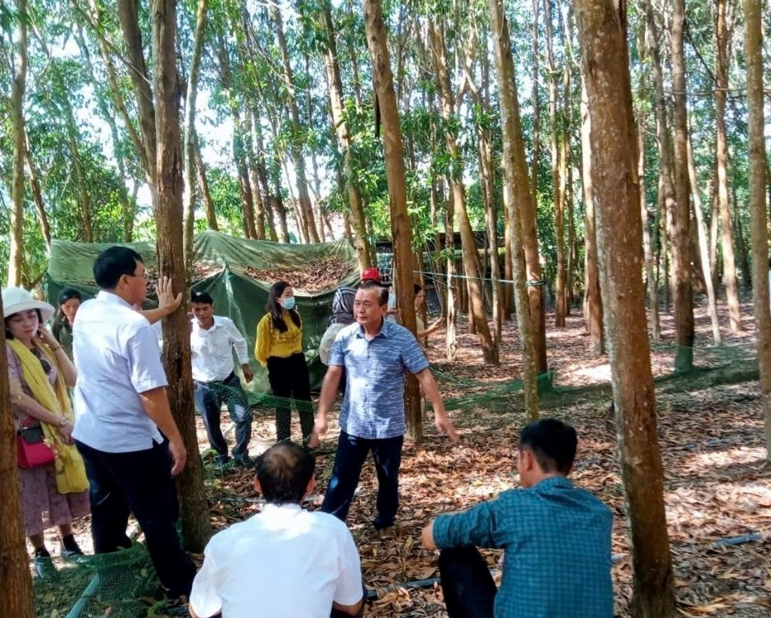 Trong khuôn khổ chuyến công tác, các thành viên trong đoàn đã đi thăm quan nhiều mô hình phát triển kinh tế (Ảnh: C. Tường)