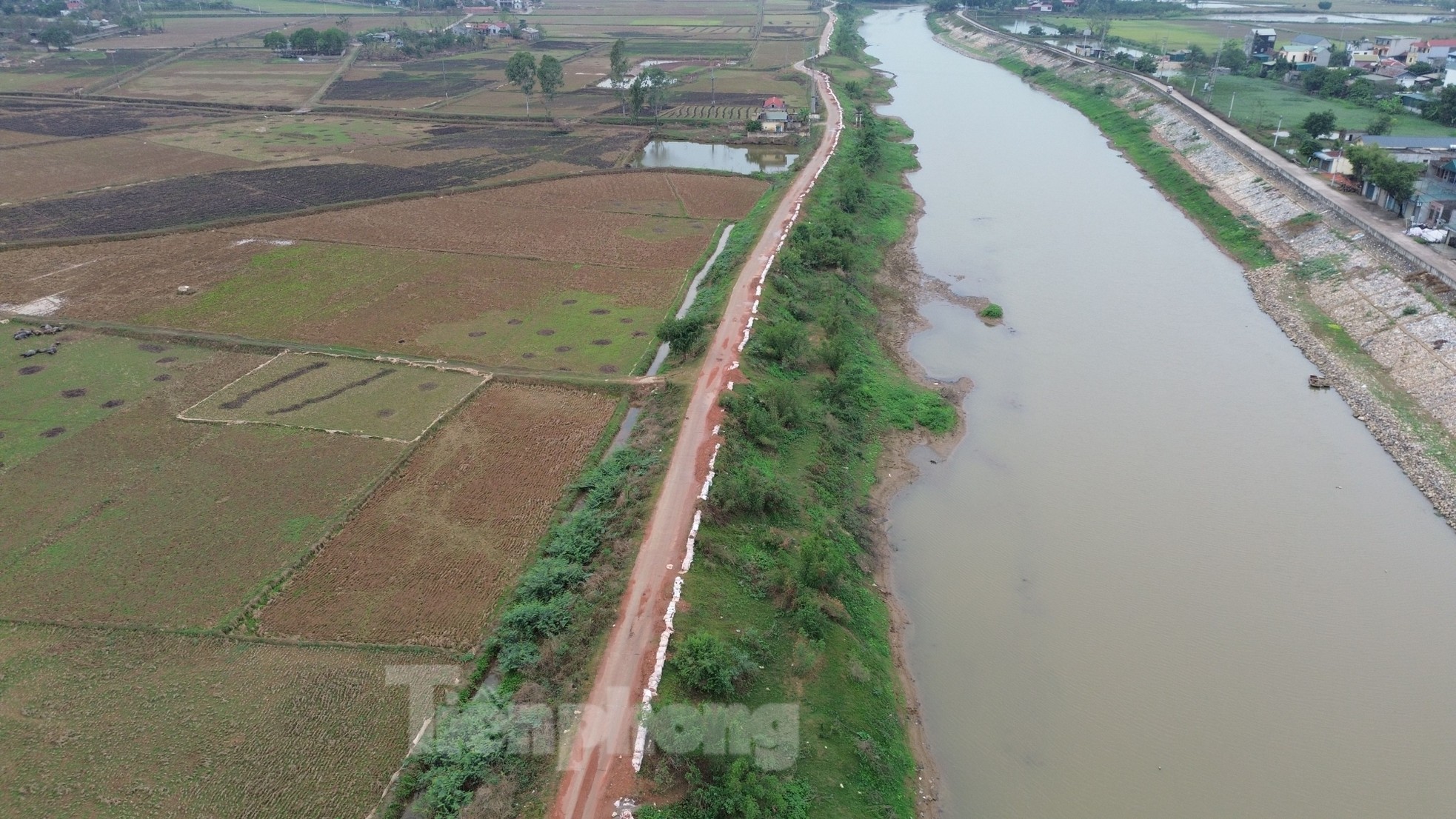 Cận cảnh tuyến đê bị sạt lở nghiêm trọng tại Chương Mỹ vừa phải công bố tình huống khẩn cấp ảnh 1