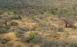 África 7.jpg