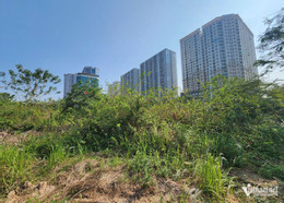 W-phung khoa 13.jpeg