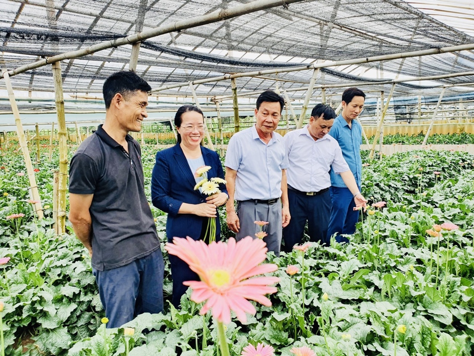 Mô hình trồng hoa tại xã Đồng Tháp, huyện Đan Phượng (Hà Nội) cho hiệu quả kinh tế cao. Ảnh: Ngọc Ánh