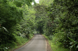 carbon credits
