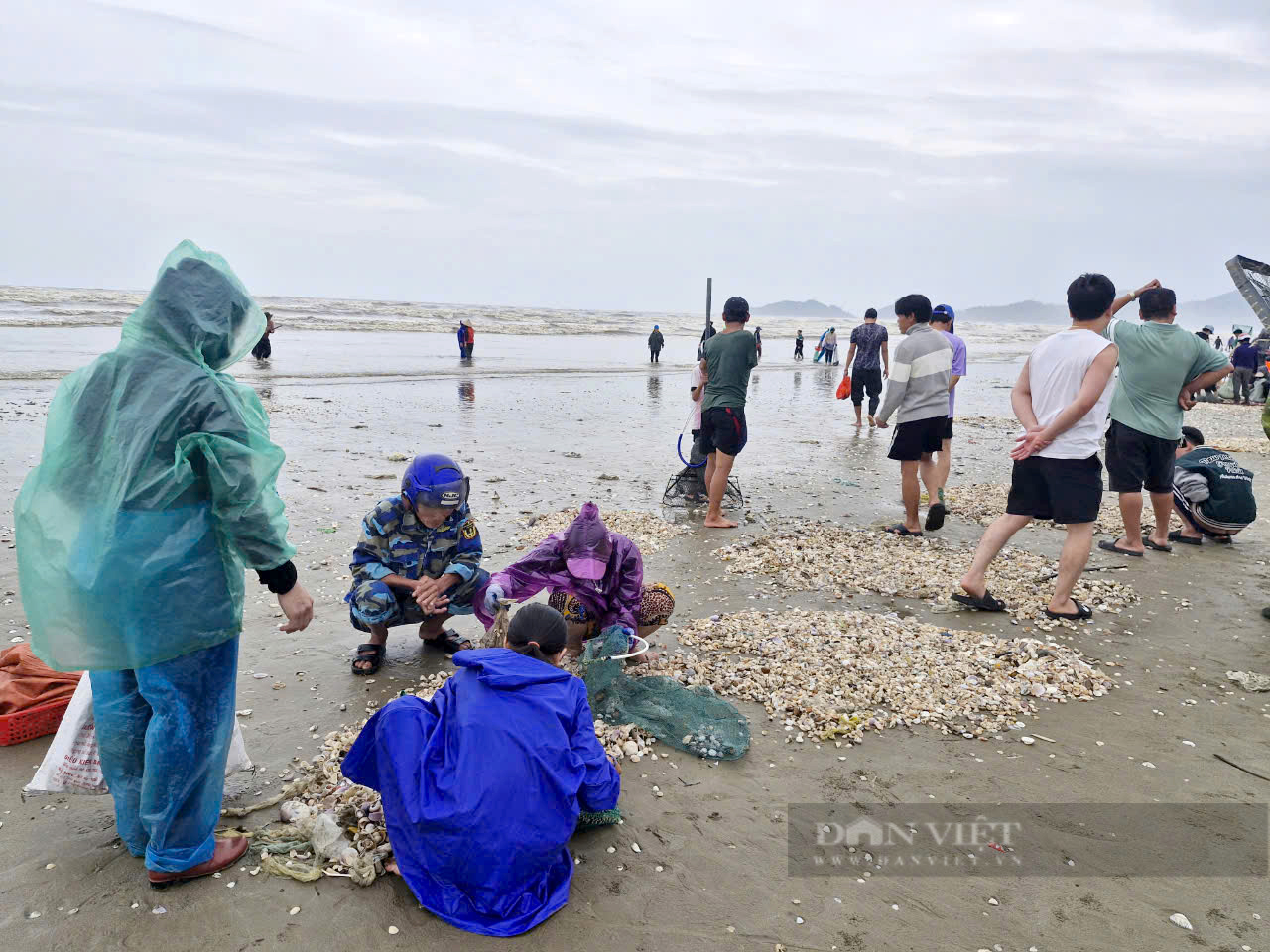 Hà Tĩnh: Người dân đổ xô ra vớt “lộc biển” sau giông bão - Ảnh 1.