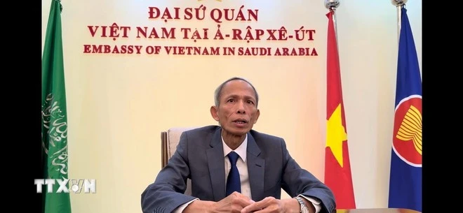 Đại sứ Đặng Xuân Dũng: Cột mốc quan trọng trong quan hệ Việt Nam-Saudi Arabia ảnh 1