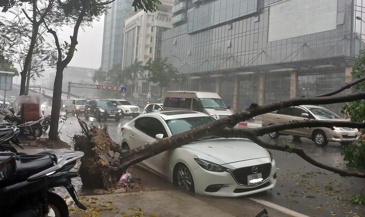 Tạm ứng hơn 434,4 tỷ đồng bồi thường cho khách hàng thiệt hại do bão Yagi. (Ảnh minh họa: Vietnamnet)