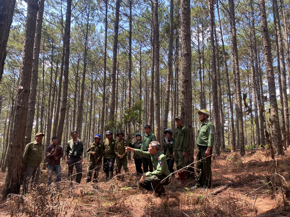 Điểm mới về chi trả dịch vụ môi trường rừng trên địa bàn tỉnh Lâm Đồng- Ảnh 1.