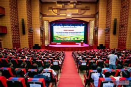 W-Farmer Chau 3.jpeg