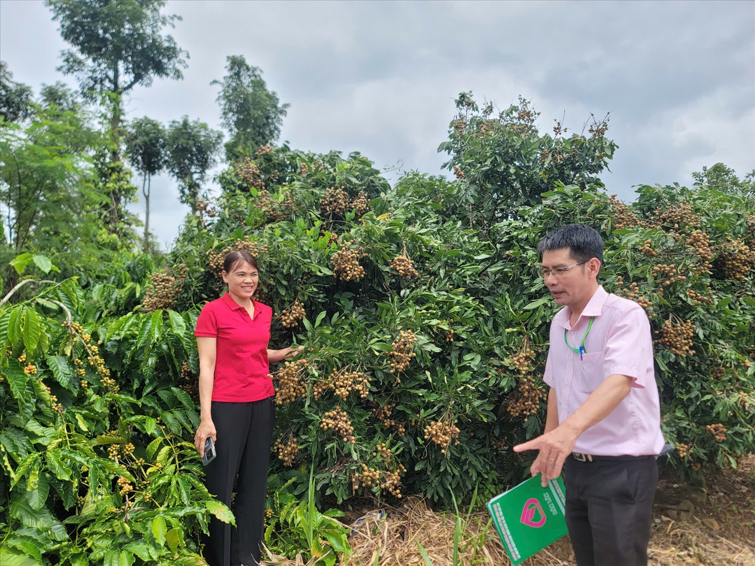 Cán bộ Phòng Giao dịch NHCSXH huyện kiểm tra sử dụng nguồn vốn sau đầu tư trên địa bàn huyện Ea Kar (Đắk Lắk)