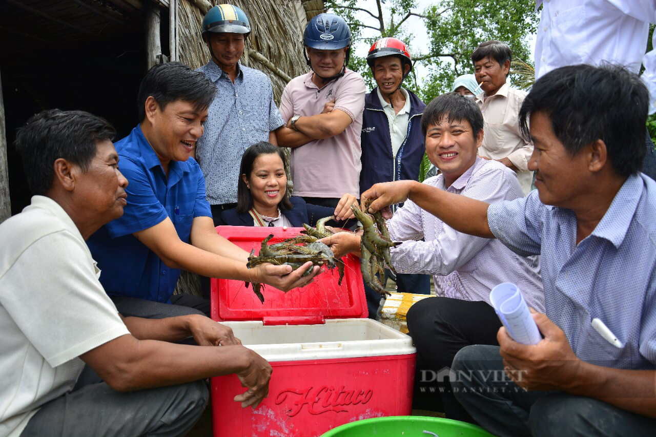 Tín dụng xanh – động lực phát triển bền vững: Làm sao để vốn xanh “tự tìm đến”? (Bài 3) - Ảnh 1.