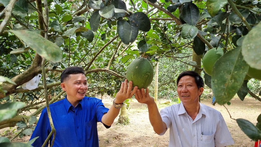 Thôn Bình Thành là điểm đến hấp dẫn, mang dấu ấn riêng.