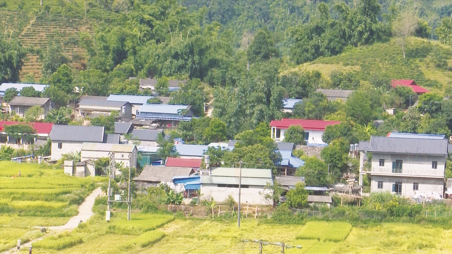 Bản làng xã Nà Tăm ngày càng khang trang, giàu đẹp.