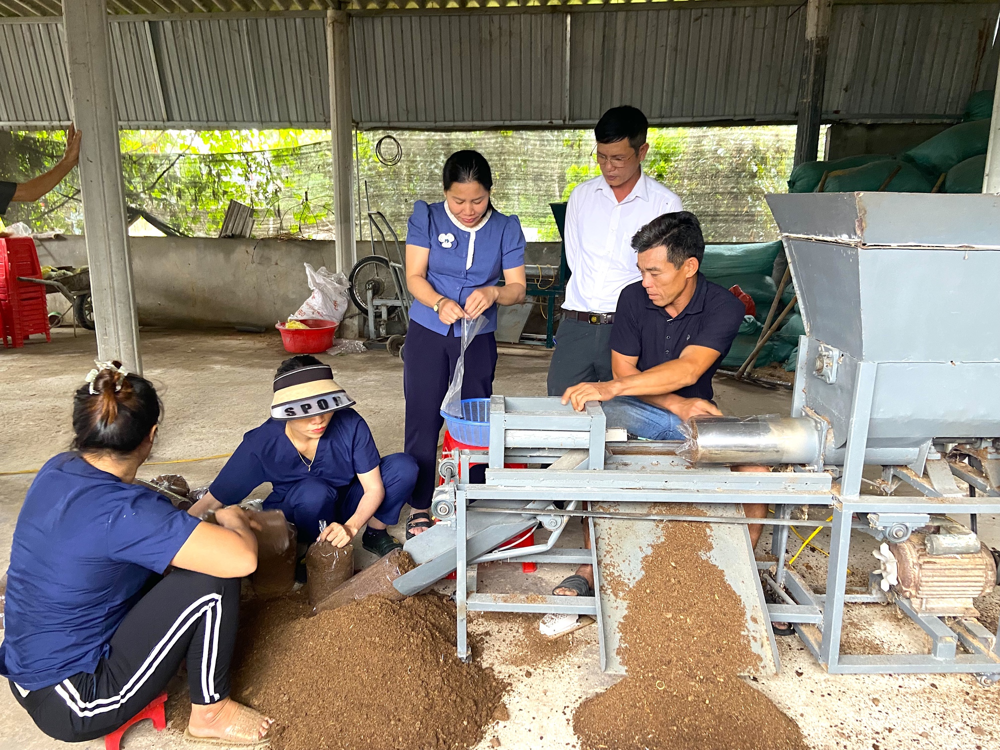 Nông dân Hà Tĩnh trồng loại cây “siêu sạch”, 10 ngày thu hoạch được, bán giá cao. - Ảnh 2.