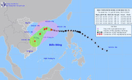 bao so 7 Yinxing 00.jpg