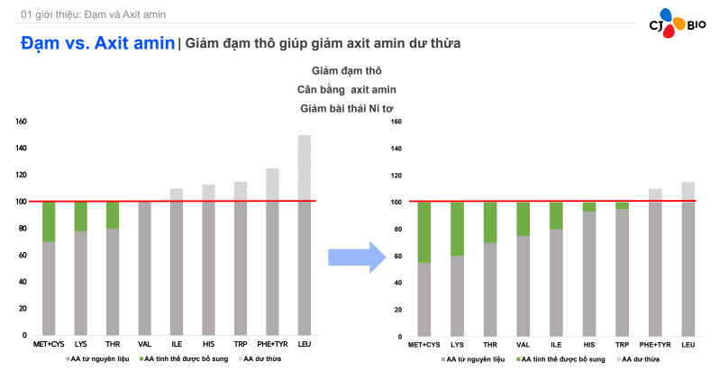 Sử dụng thức ăn đạm thô thấp, đẩy mạnh phát triển chăn nuôi bền vững, giảm thiểu tối đa khí phát thải nhà kính - Ảnh 6.