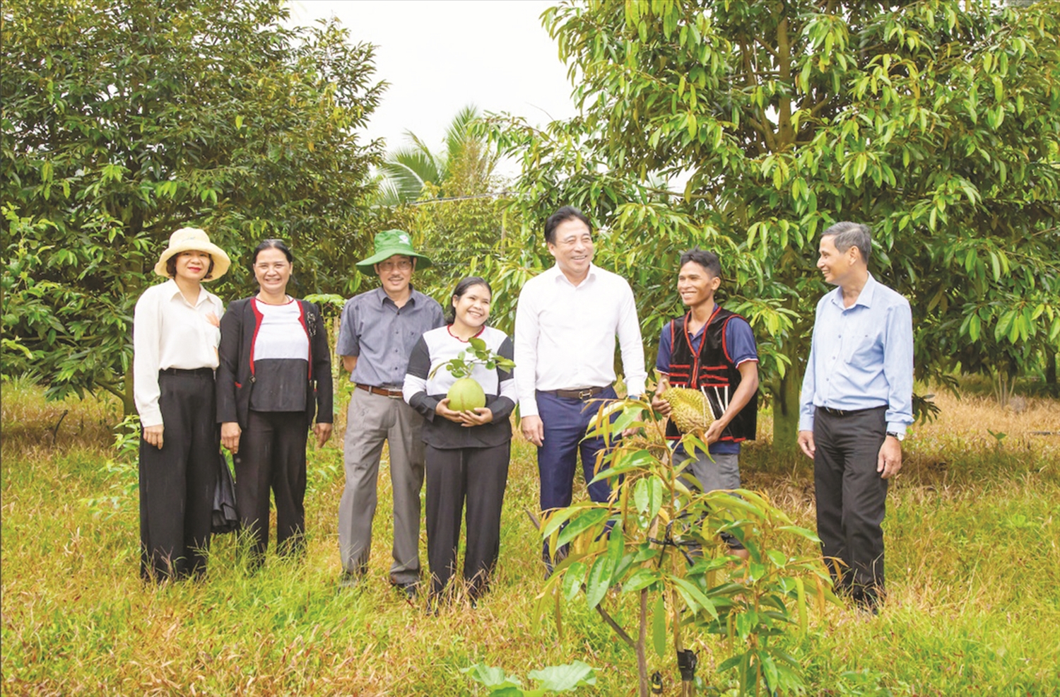 Ở huyện Khánh Sơn, hiện có nhiều hộ nông dân làm giàu từ cây sầu riêng.