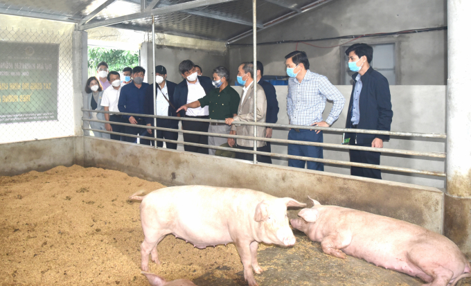 Mô hình chăn nuôi hữu cơ của ông Nguyễn Văn Lịch (thôn Trạch Hữu, xã Phong Thu, huyện Phong Điền, Thừa Thiên - Huế). Ảnh: Hoàng Anh.