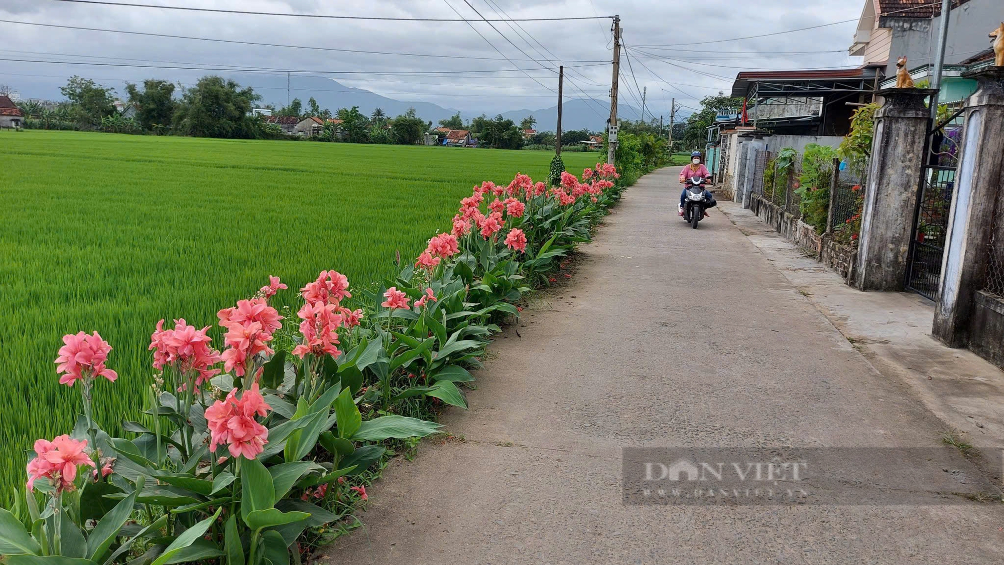 Phú Yên tích cực tháo gỡ khó, hoàn thành những mục tiêu xây dựng nông thôn mới- Ảnh 1.