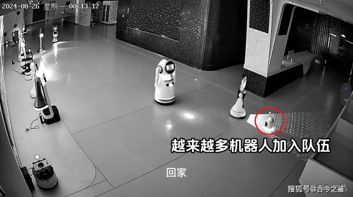 Các robot lớn lần lượt di chuyển theo sau theo khẩu lệnh "về nhà" của robot nhỏ Nhị Bạch. (Ảnh: Sohu)