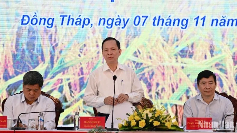 Sẵn sàng nguồn vốn ưu đãi thực hiện Đề án 1 triệu héc-ta lúa chất lượng cao, phát thải thấp ảnh 1