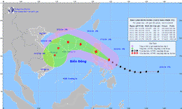 kolik mě je 16 11.gif