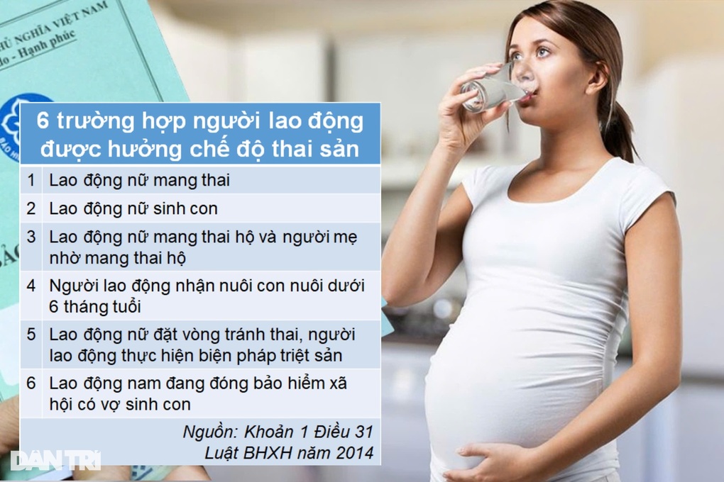 Sinh con rồi cho bạn làm con nuôi thì có được hưởng thai sản? - 1