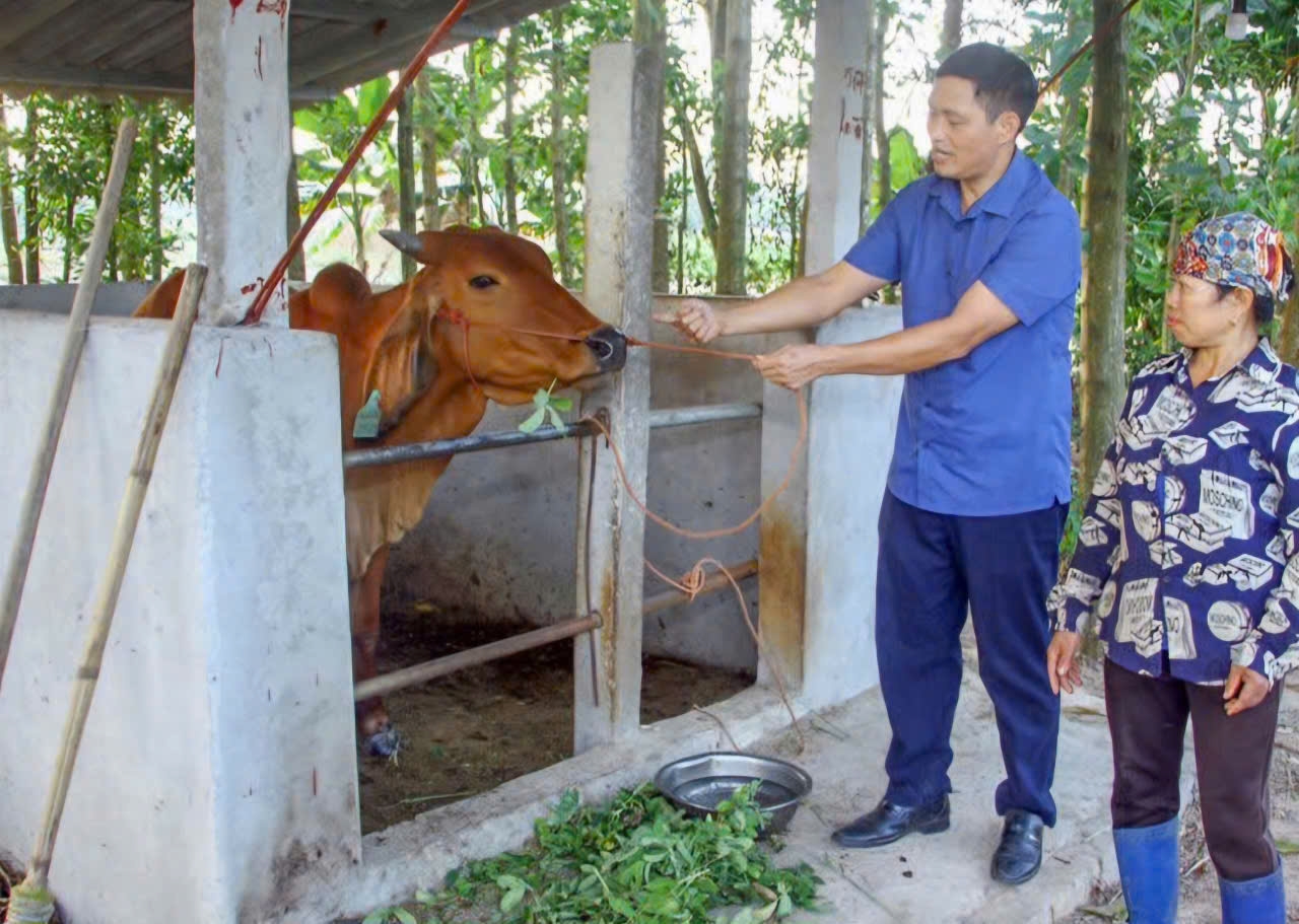 Thường xuyên bám nắm, hướng dẫn kỹ thuật chăm sóc cho các hộ dân được nhận hỗ trợ