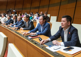 ឫស្សី ១.jpg