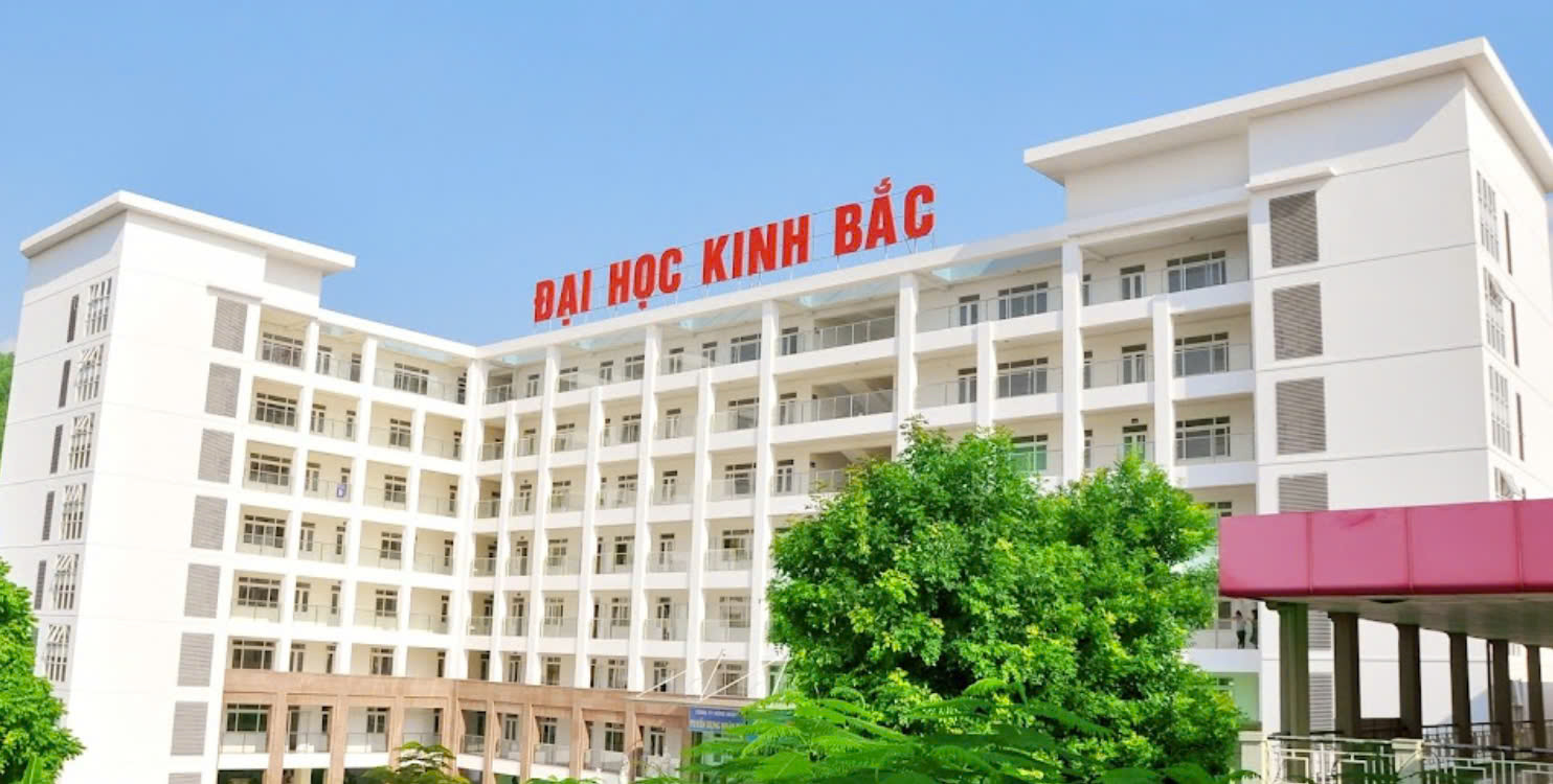 Thu hồi bằng cử nhân văn học của 'phó hiệu trưởng' Trường đại học Kinh Bắc - Ảnh 1.