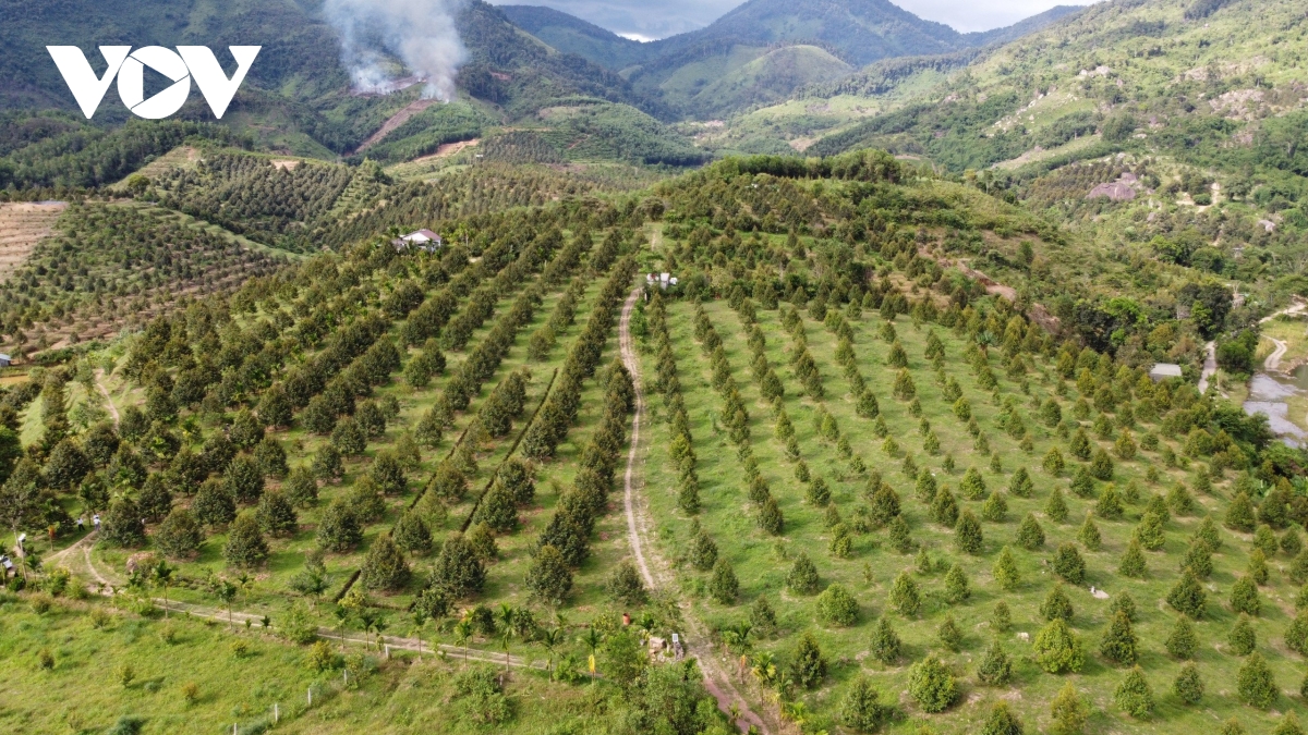 thu hut dau tu vao mien nui khanh hoa hinh anh 1