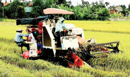 トゥアティエンフエ 1.jpg