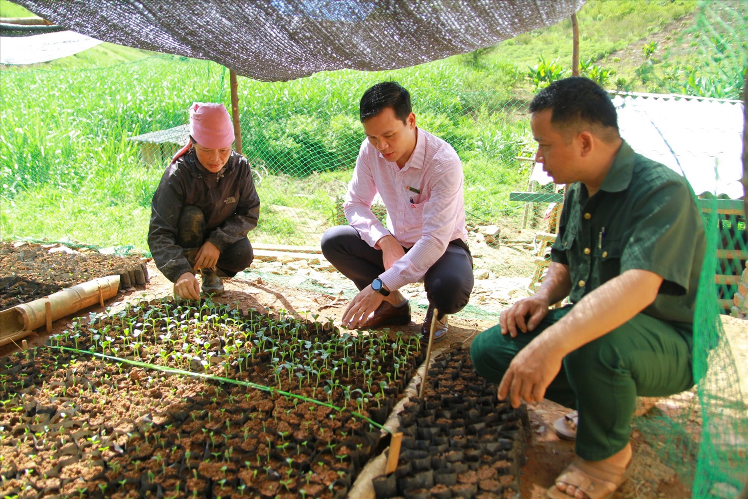 Từ nguồn vốn Phòng Giao dịch NHCSXH huyện, hàng nghìn hộ vay được vay vốn, để phát triển kinh tế, mang lại thu nhập ổn định cho gia đình, tạo việc làm cho nhiều lao động tại địa phương