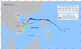 بائو یینکسینگ.jpg