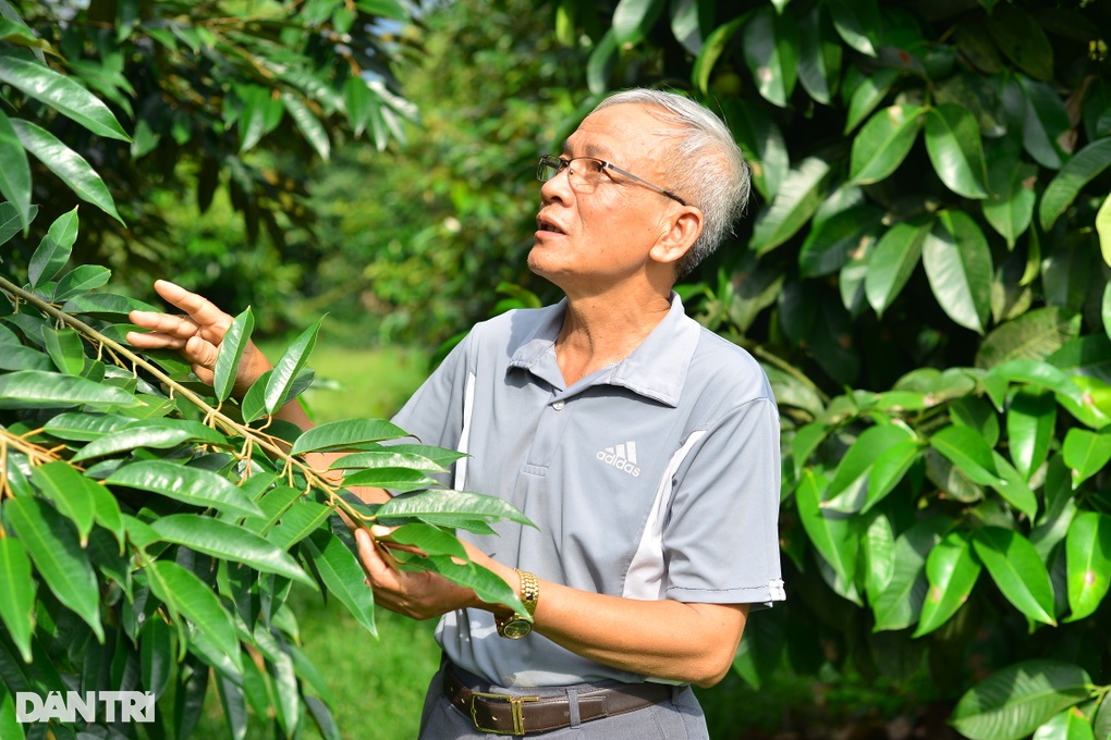 Trồng cây tỷ đô, cụ ông 75 tuổi có thu nhập khiến người trẻ nể phục - 1