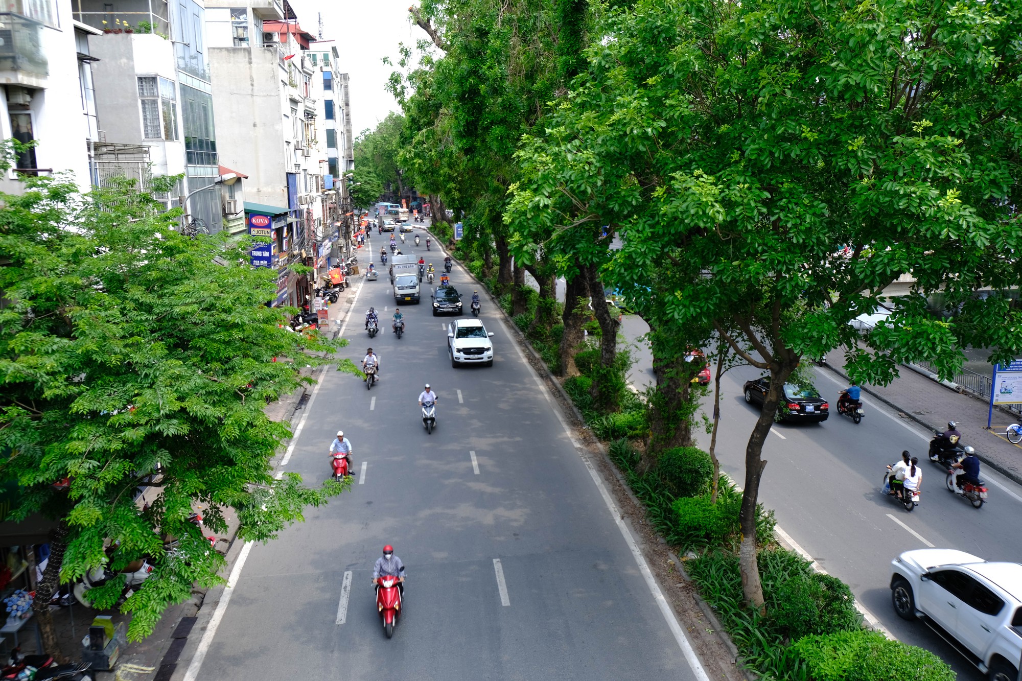 Ứng dụng công nghệ cao trong phát triển lâm nghiệp bền vững - Ảnh 1.