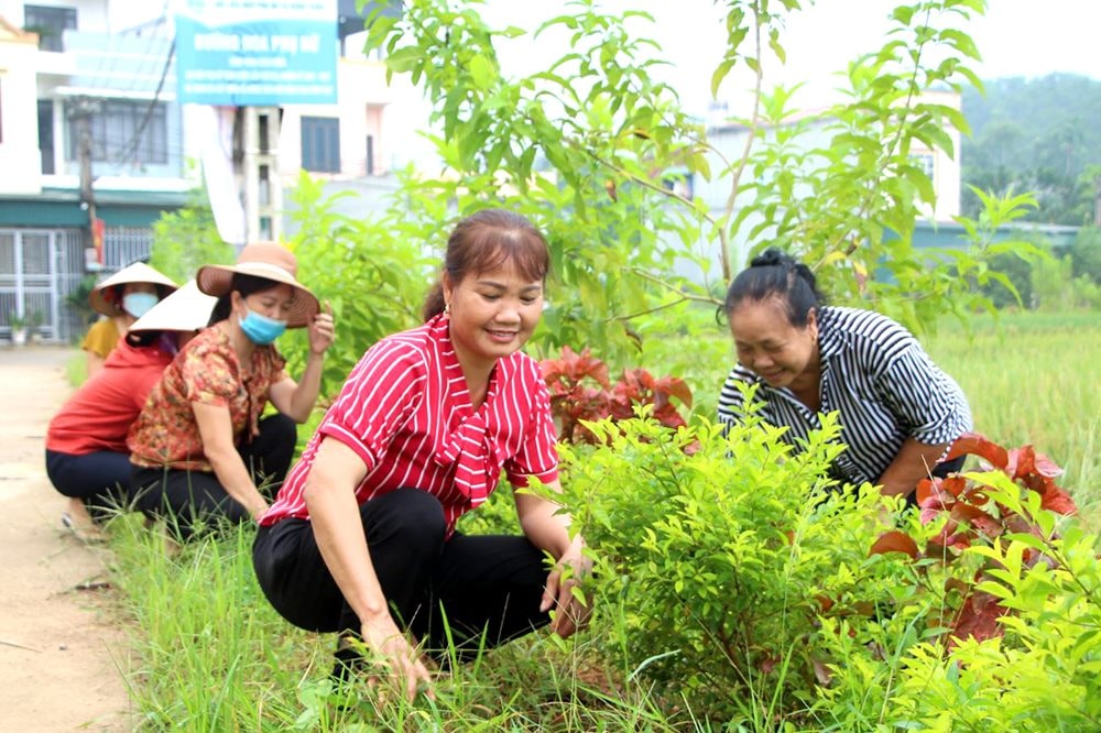 bai chinh