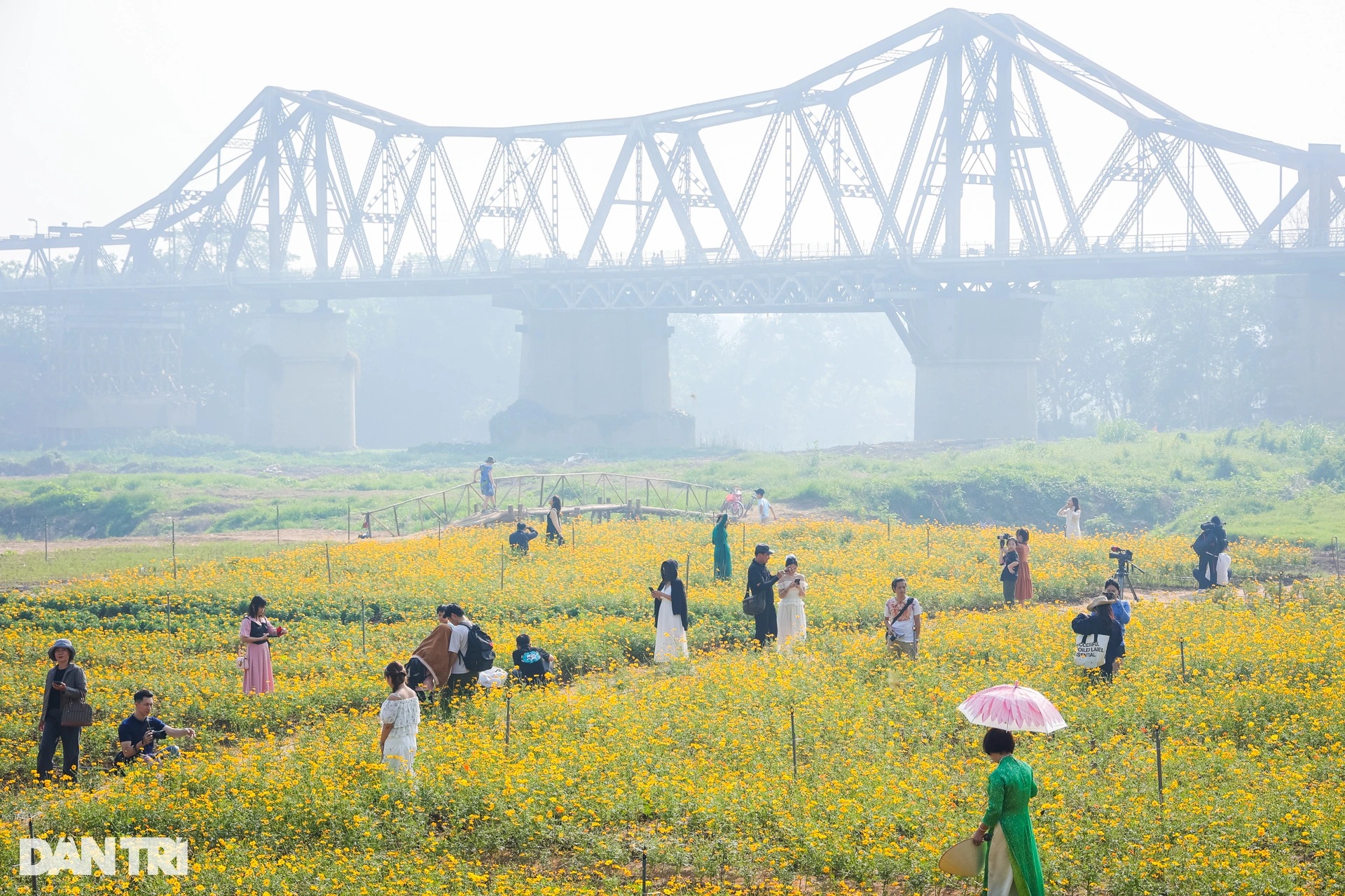 Dậy từ 3h, vượt 30km chụp ảnh "sống ảo" ở vườn hoa cúc chân cầu Long Biên