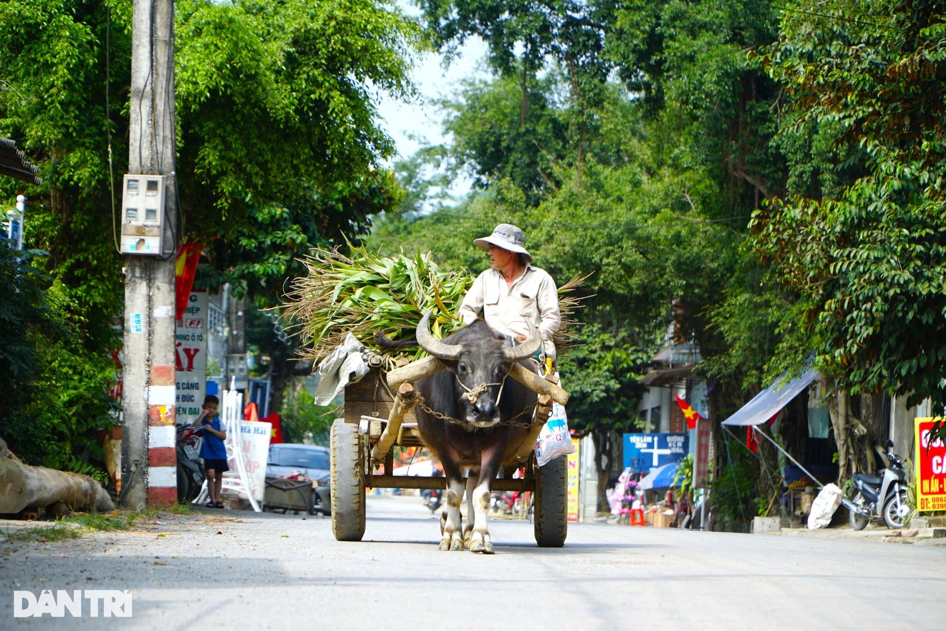 Thị trấn bên dòng sông Mã được quy hoạch theo hình bàn cờ - 10