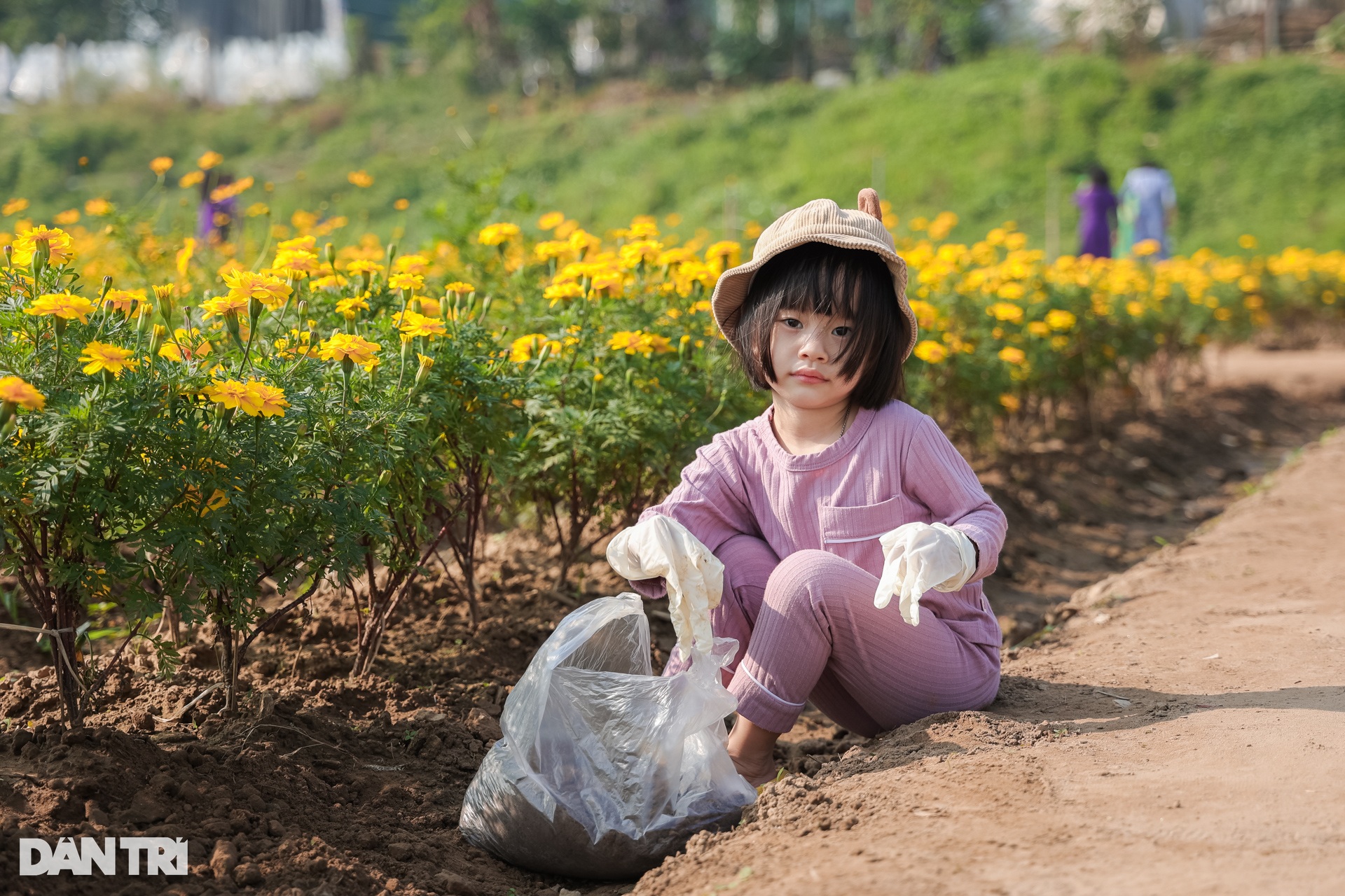 Dậy từ 3h, vượt 30km chụp ảnh sống ảo ở vườn hoa cúc chân cầu Long Biên - 10