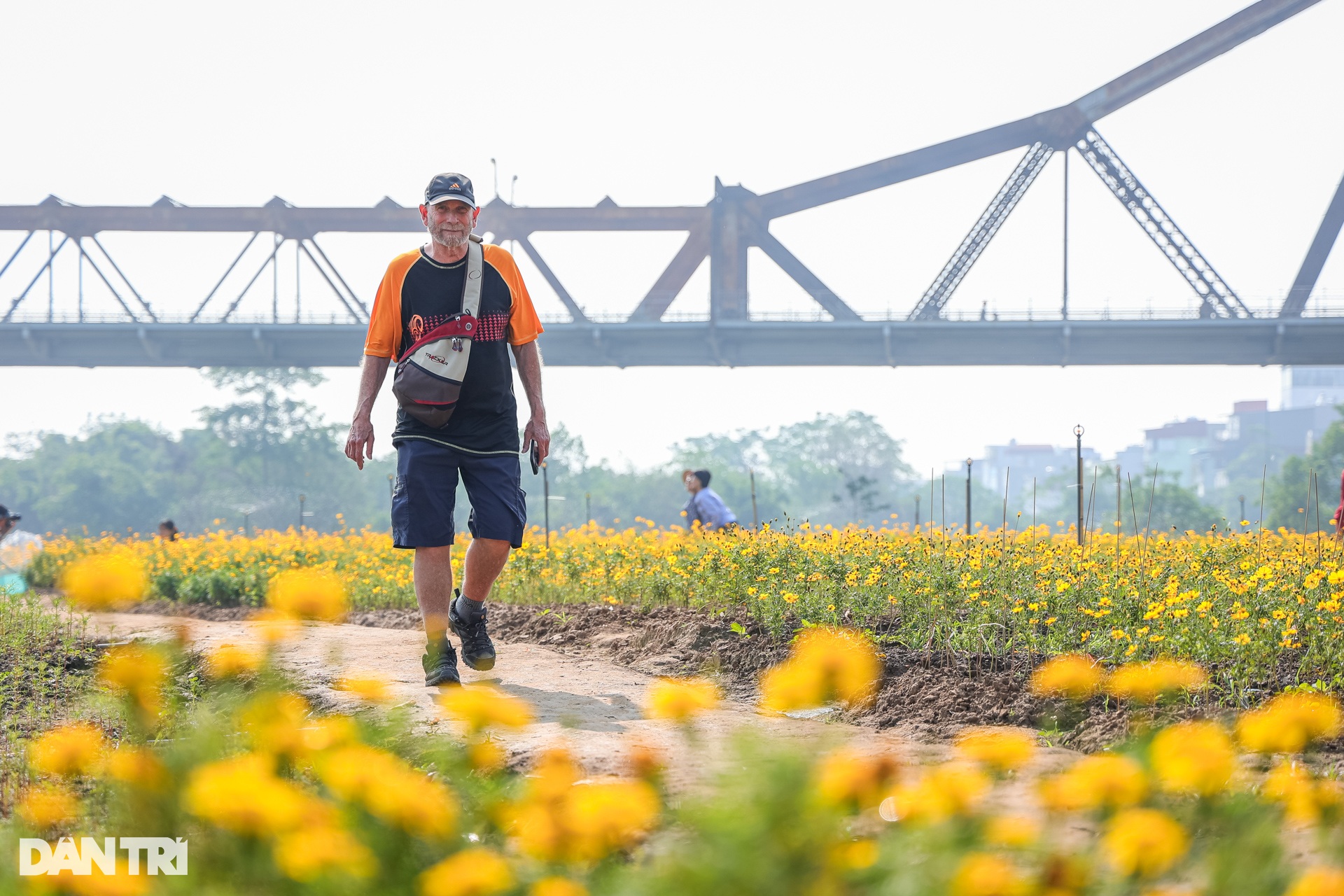 Dậy từ 3h, vượt 30km chụp ảnh sống ảo ở vườn hoa cúc chân cầu Long Biên - 11