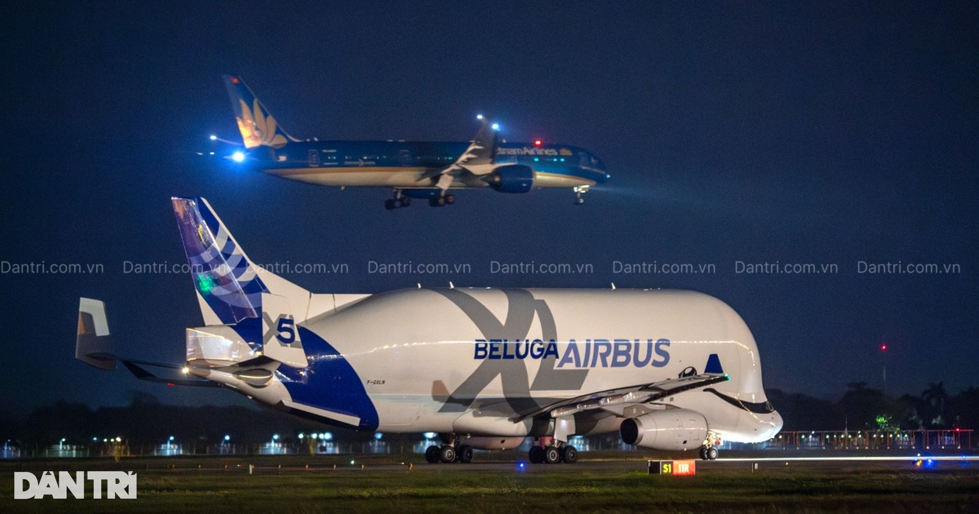 Siêu máy bay vận tải Airbus Beluga XL cá voi trắng lần đầu đến Việt Nam - 9