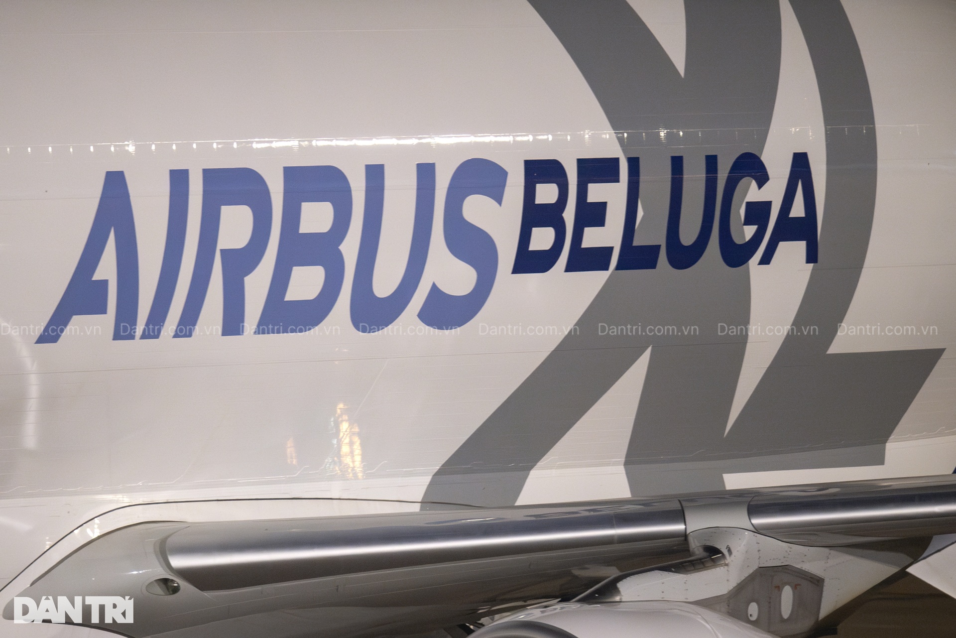 Siêu máy bay vận tải Airbus Beluga XL cá voi trắng lần đầu đến Việt Nam - 5