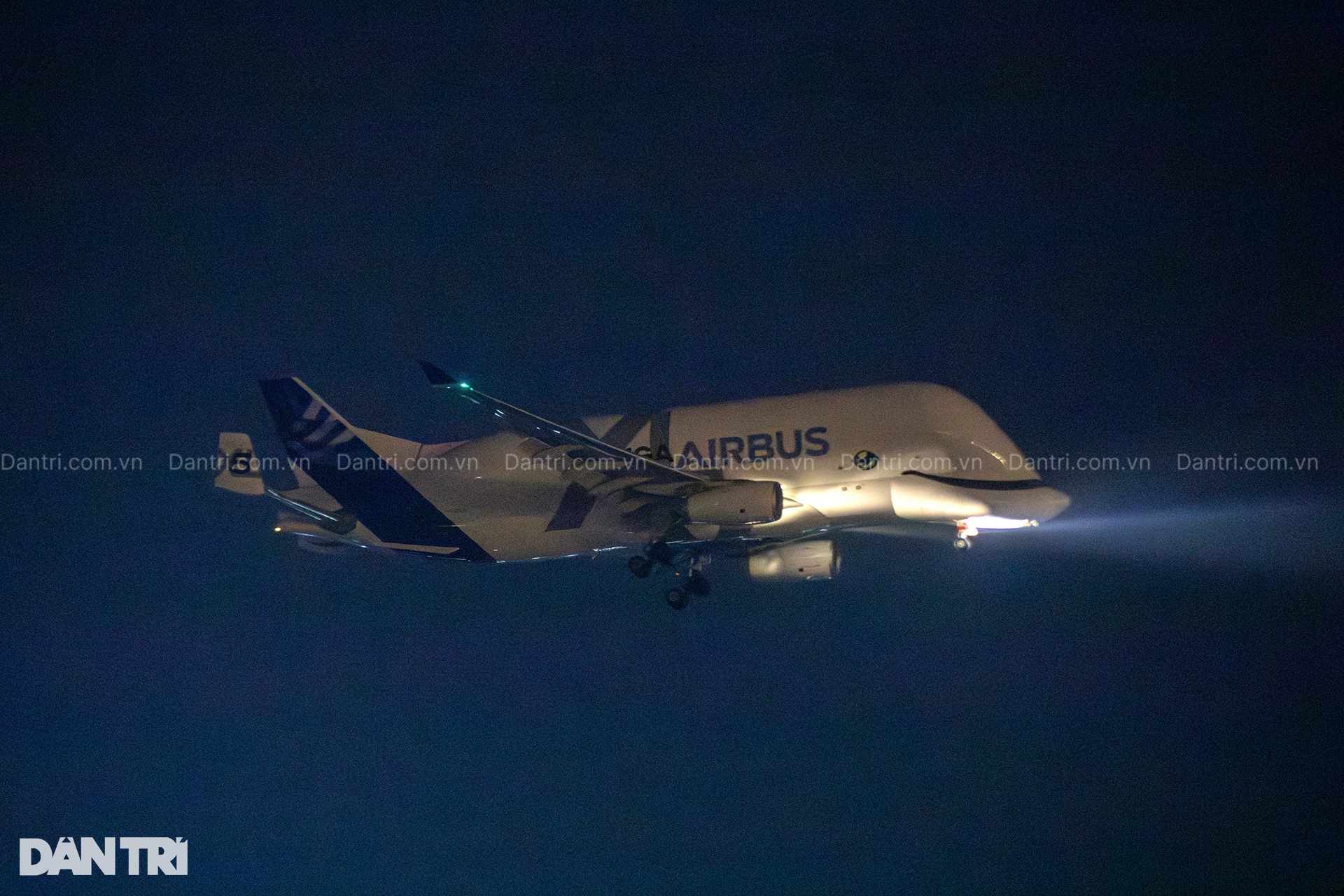 Airbus Beluga XL super transport aircraft 